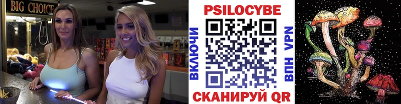 Псилоцибиновые грибы мицелий Гаврилов-Ям
