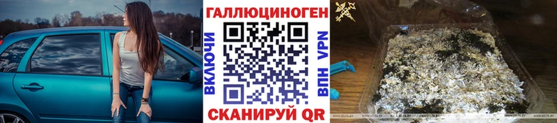 kraken маркетплейс  где купить наркоту  Гаврилов-Ям  Галлюциногенные грибы Magic Shrooms 